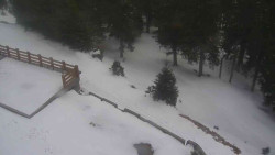 Přístup na běžeckou trať