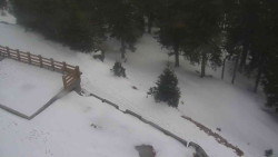 Přístup na běžeckou trať