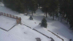 Přístup na běžeckou trať