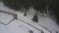 Přístup na běžeckou trať