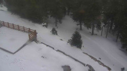 Přístup na běžeckou trať