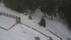 Přístup na běžeckou trať