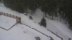 Přístup na běžeckou trať