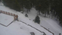 Přístup na běžeckou trať