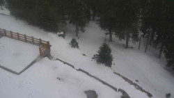 Přístup na běžeckou trať