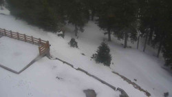 Přístup na běžeckou trať