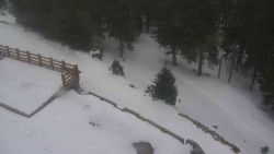 Přístup na běžeckou trať