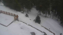 Přístup na běžeckou trať