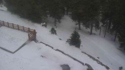 Přístup na běžeckou trať