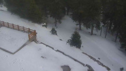 Přístup na běžeckou trať