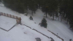 Přístup na běžeckou trať