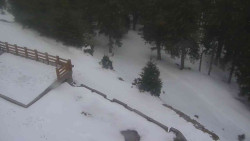 Přístup na běžeckou trať