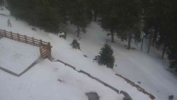 Přístup na běžeckou trať