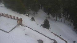 Přístup na běžeckou trať