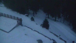 Přístup na běžeckou trať