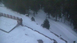 Přístup na běžeckou trať