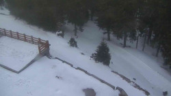 Přístup na běžeckou trať