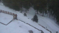 Přístup na běžeckou trať