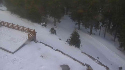 Přístup na běžeckou trať