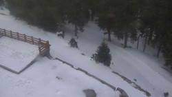 Přístup na běžeckou trať