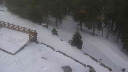 Přístup na běžeckou trať