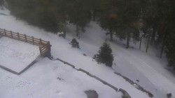 Přístup na běžeckou trať