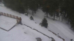 Přístup na běžeckou trať