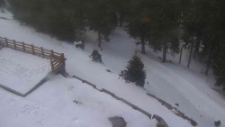 Přístup na běžeckou trať