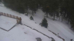 Přístup na běžeckou trať