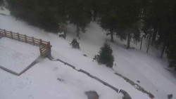 Přístup na běžeckou trať