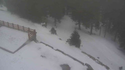 Přístup na běžeckou trať