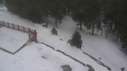 Přístup na běžeckou trať