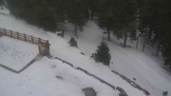 Přístup na běžeckou trať