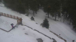 Přístup na běžeckou trať