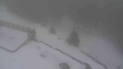 Přístup na běžeckou trať