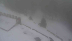 Přístup na běžeckou trať