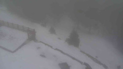 Přístup na běžeckou trať