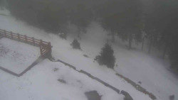 Přístup na běžeckou trať