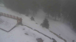 Přístup na běžeckou trať