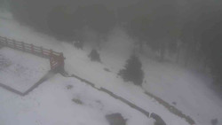 Přístup na běžeckou trať