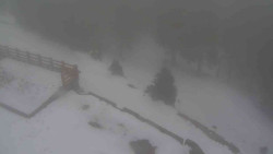 Přístup na běžeckou trať