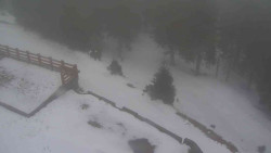 Přístup na běžeckou trať