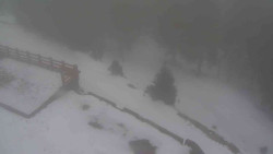 Přístup na běžeckou trať