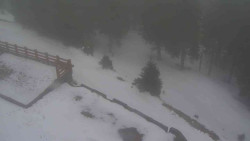 Přístup na běžeckou trať