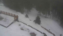 Přístup na běžeckou trať