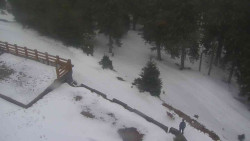 Přístup na běžeckou trať