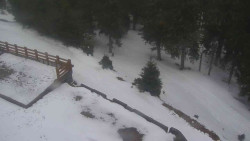 Přístup na běžeckou trať