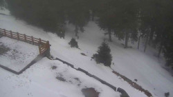 Přístup na běžeckou trať