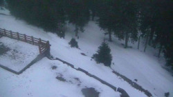 Přístup na běžeckou trať