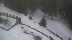 Přístup na běžeckou trať